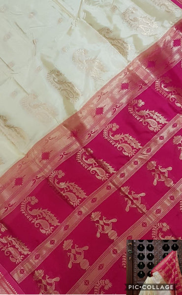 Off-White Paithani silk with Paisley motif and contrast pink pallu and border