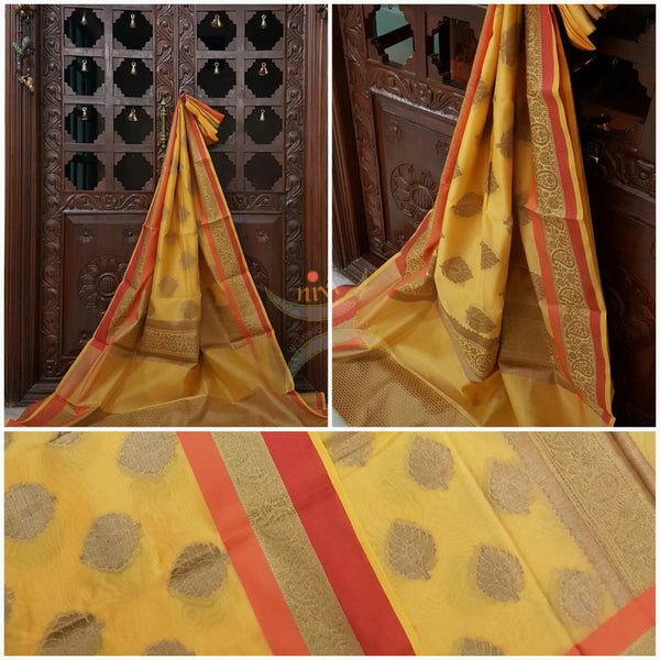 Yellow silk cotton benaras brocade saree with satin finish contrasting border and antique gold zari woven border and pallu and zari booties all over the saree.
